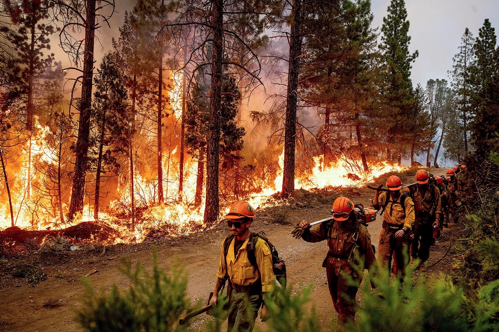 Fire statistics CA